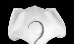 Анна Лазарева